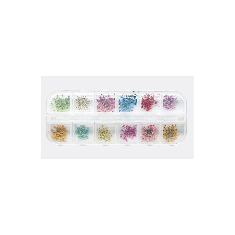 Flores secas para uñas - Imagen 2